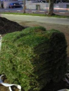 20070326tafriday-011a